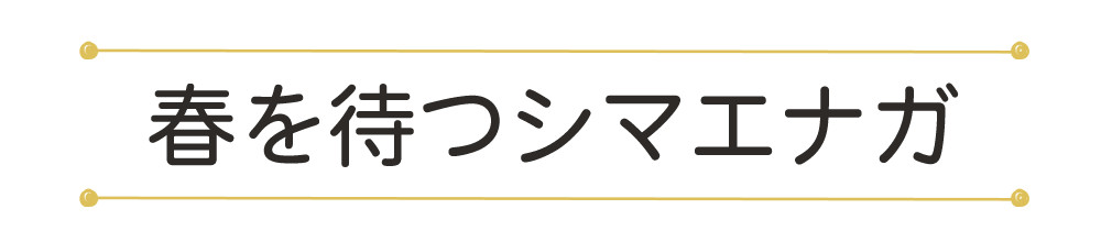春を待つシマエナガタイトル