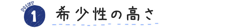 WEB限定point①